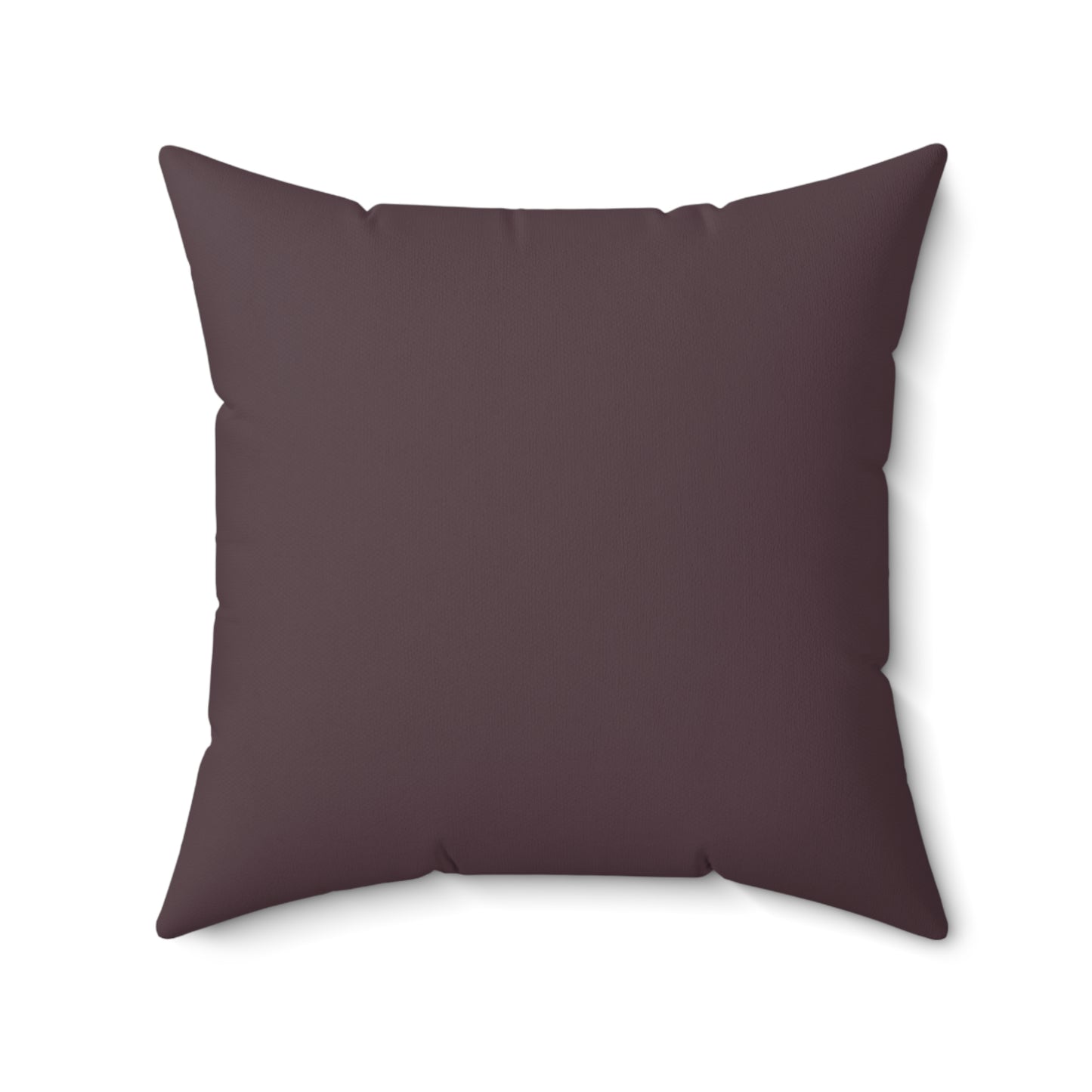 Square Canvas Pillow